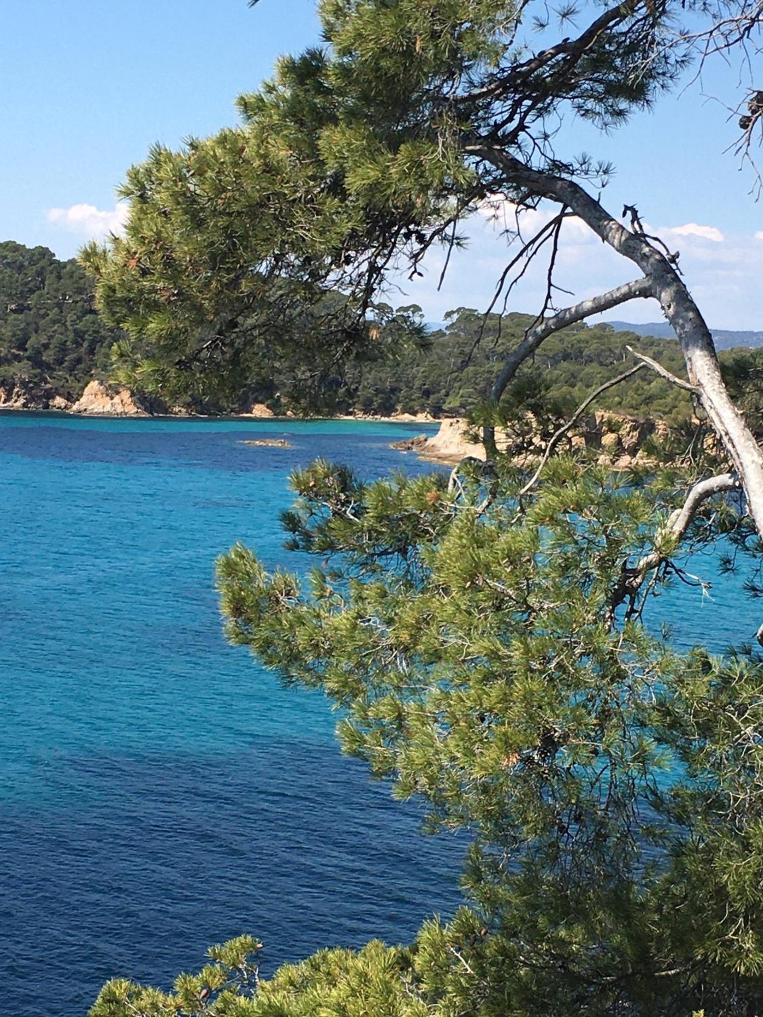 Appartement T3 Lumineux Traversant Totalement Neuf En Face De La Plage Front De Mer Vue Sur Les Iles Vue Mer Panoramique Assuree Residence De La Plage Centre Ville Du Lavandou 3Eme Etage Avec Ascenseur Appartement T3 Le Lavandou Exterior photo
